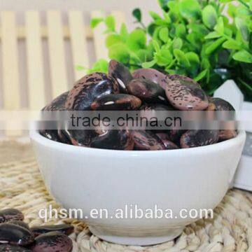 wholesale dry beans, black kidney beans