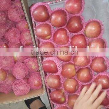 Qinguan Apples/Fresh Red Apple/ New Crop Apple From Origin Place photo-2