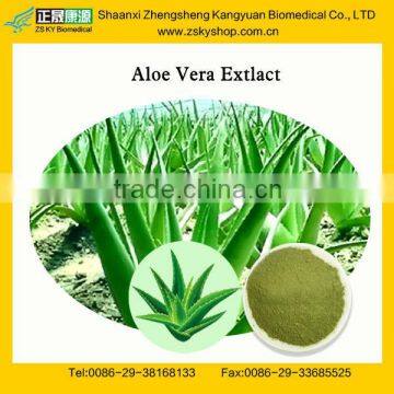 GMP Factory Supply Natural Aloe Vera Leaf Extract