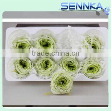 Farm Plant Flower Preserved Green Austi Rose Flowers With Flower Head 4-5cm photo-4