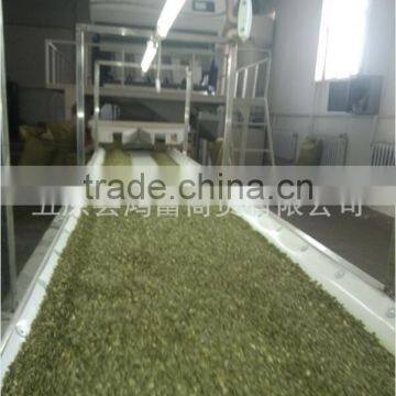 Xinjiang Bulk Pumpkin Shine Skin Kernels photo-2