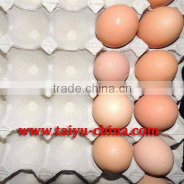 TAIYU paper egg tray factory