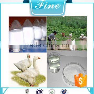 Beef Collagen/protein Powder