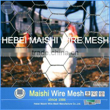 Hot Dipped Galvanized Hexagonal Wire Mesh Factory photo-6