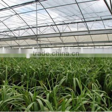 Multi-Span Agricultural Greenhouses Type and Film Cover Material