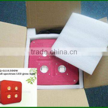 300w Led Grow Light, Horticulture Grow Light,cob Led Grow Light Shenzhen photo-3