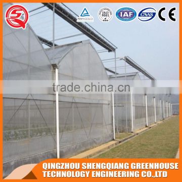 Multi-span plastic tomato greenhouse hot galvanized steel frame