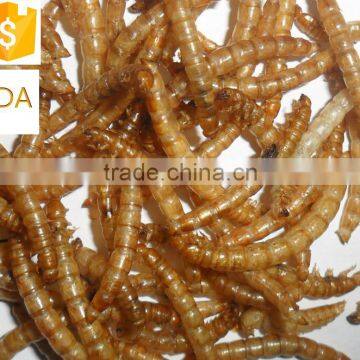 Top quality dried mealworm, koi and pond fish mealworm