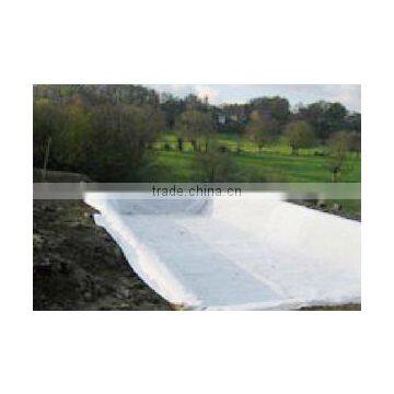 Hot Sale HDPE Geomembrane . photo-3