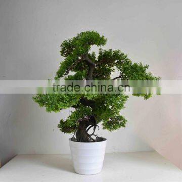 SJ0301125 Guangzhou Shengjie Artificial Plant Wholesale Cypress Bonsai Tree photo-3