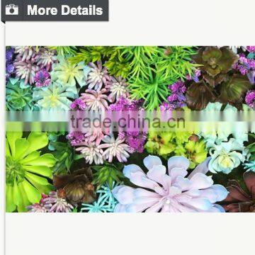 High Quality Artificial Vertical Garden Plants Wall With Sucullents photo-3