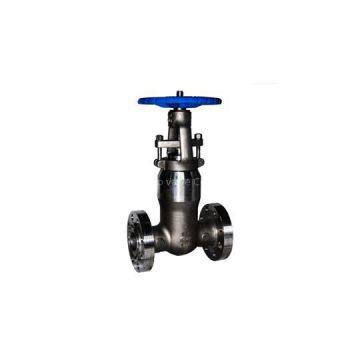 Titanium Gate Valve