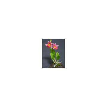 Netrasiri Miniature Clay Flower (Artificial Flower)