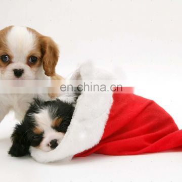 Plush dog in christmas hat velour / velvet Christmas Hat / XMAS hat santa claus hat children and adult