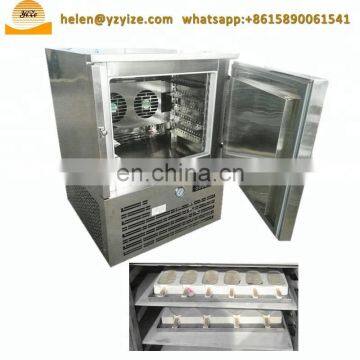 Commercial Upright Refrigerator Vertical Container Plate Deep Freezer Equipment photo-3
