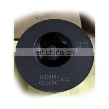 Diesel Engine Piston 4115P011