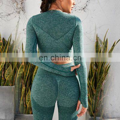 Four-way Stretch Wholesale Seamless Yoga Clothes Good Quality Long Sleeve Top 2Pcs Gym Fitness Sets Workout Wear Sports Suit Set