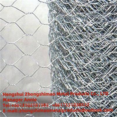 hexagonal wire mesh/chicken wire mesh/