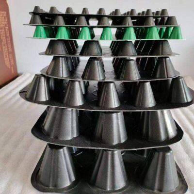 Engineering Special Plastic Drainage Board, Hdpe Hydrophobic Board, Moisture-proof and Permeable Material for Basement Roof