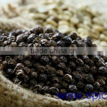 Black Pepper Best Quality & Price photo-5