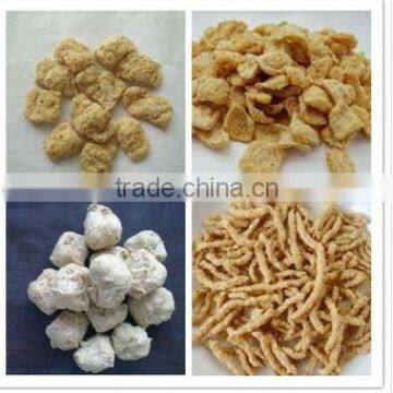 Textured Vegetarian Soya Beans Protein Process Line photo-4