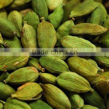 green cardamom