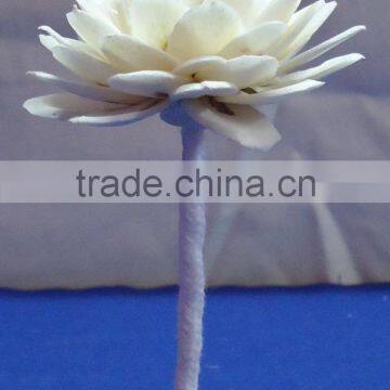 Sola Flower
