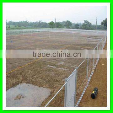 Henan Suntex Supply Hail Guard Mesh/anti Hail Structure Netting/UV Treated Anti Hail Net photo-6