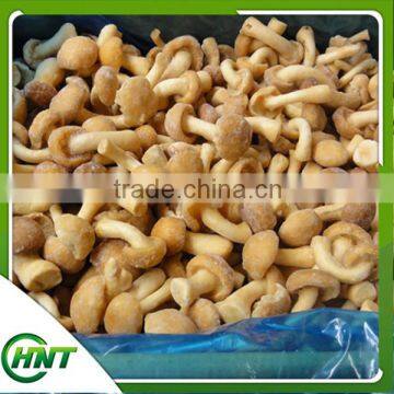 High Quality Top Quality Frozen Fresh Nameko photo-3