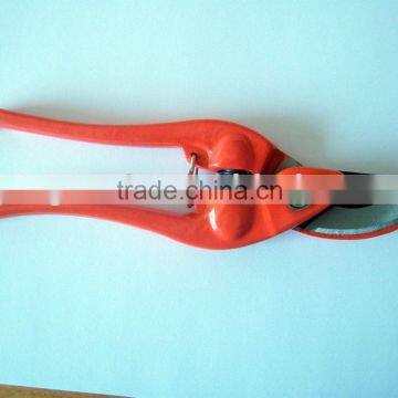 Pruning Shear