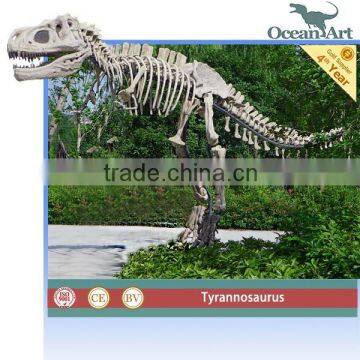 Life size statue dinosaur skeleton t-rex models