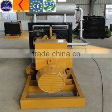 United Gas Power Cheap Price Coal Bed Gas Generator 200kw photo-3