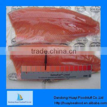 Supply grade A color 13+ new frozen salmon fillet