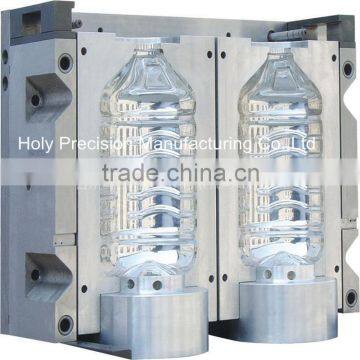 China Professional Precision Plastic Injection Mould (hl-201001)