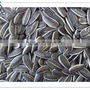 Sunflower Seeds