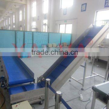 Plastic Inclined Conveyors for Different Industries photo-3
