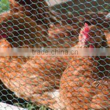 Hexagonal wire netting /chicken wire/ hexagonal wire mesh