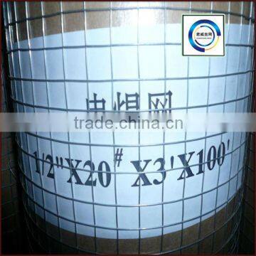 High-Quality Welded Wire Mesh Hot dipped Galvanized Welded Wire Mesh Roll