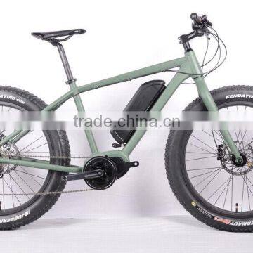 2016 Popular 250W 36V Fat Tire Electric Bike for Eurpean Market ( HJ-M21 )