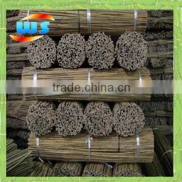 Natural bamboo stick for support plants