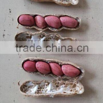 2014 New Crop Red Skin Peanut Kernels, Red Skin Four Grain Peanuts 40/50,50/60 photo-2