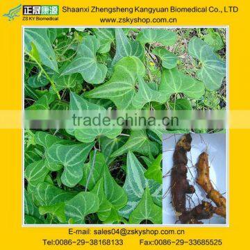 100% Natural Dioscorea Nipponica P.E./Dioscin 30%-98%(HPLC)