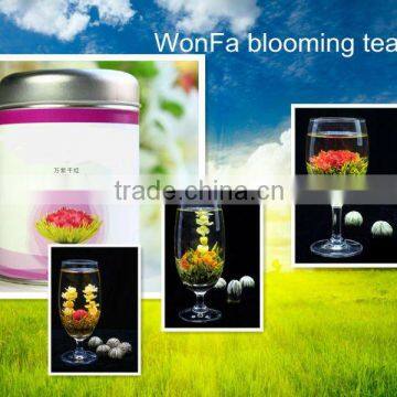 China Blooming Tea(Jasmine flower)