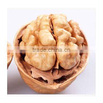 2015 New Crop Dried Thin Shell Xinjiang Origin Walnut in Shell