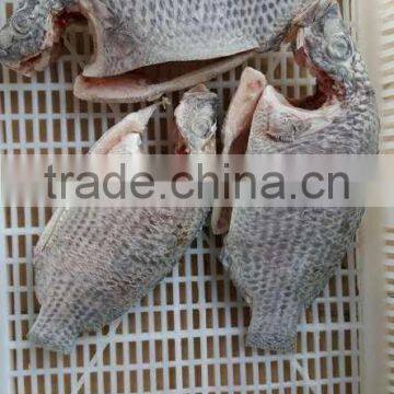 Whosale Gutted and Gilled Frozen Black Tilapia Fish