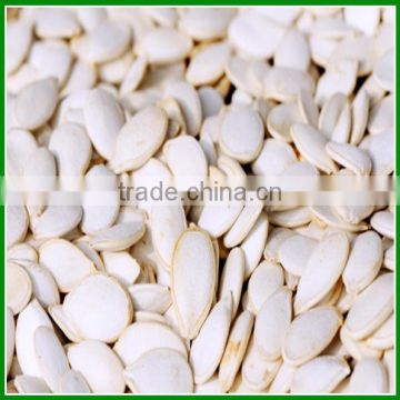 2015 New Crop China Snow White Pumpkin Seed 13 cm Supply