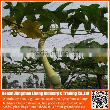 new pe greenhouse anti bird trap mist net , plastic fruit bird protection net , nylon safety plant support anti bird green net
