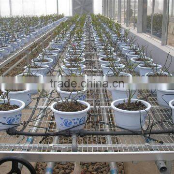four branches bend drip dripper arrows drip irrigation system in garden and lawn