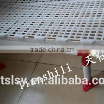 TAL series high quaity poulty plastic drain dung floor for chicken