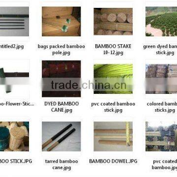 bamboo stick stake natural / dyed color for agriculture and horticulture